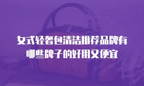 女式轻奢包清洁推荐品牌有哪些牌子的好用又便宜