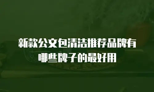 新款公文包清洁推荐品牌有哪些牌子的最好用