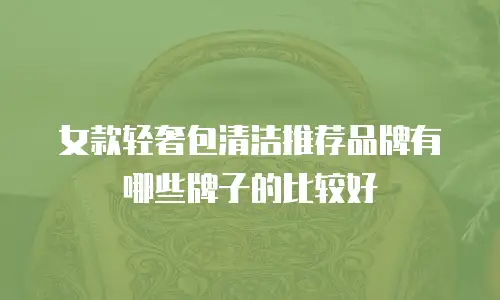 女款轻奢包清洁推荐品牌有哪些牌子的比较好