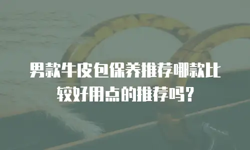 男款牛皮包保养推荐哪款比较好用点的推荐吗？