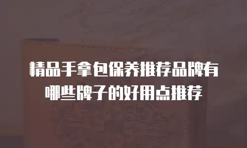 精品手拿包保养推荐品牌有哪些牌子的好用点推荐