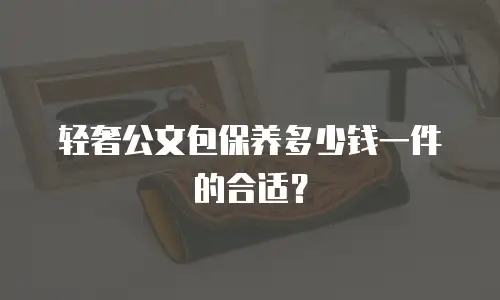轻奢公文包保养多少钱一件的合适？