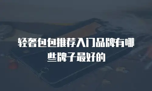 轻奢包包推荐入门品牌有哪些牌子最好的