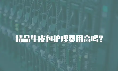 精品牛皮包护理费用高吗？