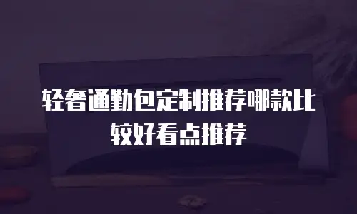 轻奢通勤包定制推荐哪款比较好看点推荐