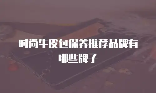 时尚牛皮包保养推荐品牌有哪些牌子