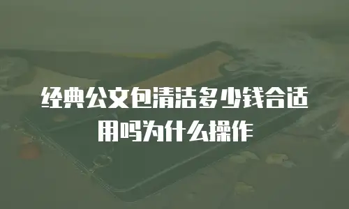 经典公文包清洁多少钱合适用吗为什么操作