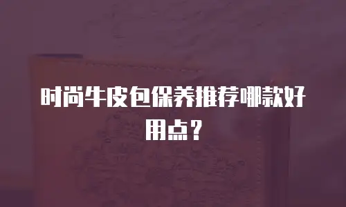 时尚牛皮包保养推荐哪款好用点？