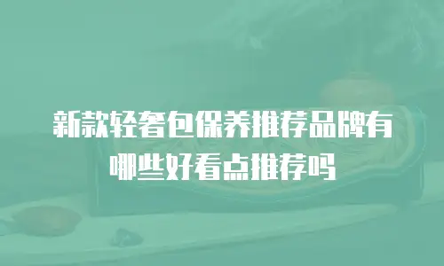 新款轻奢包保养推荐品牌有哪些好看点推荐吗