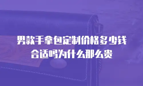 男款手拿包定制价格多少钱合适吗为什么那么贵