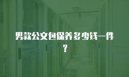 男款公文包保养多少钱一件？