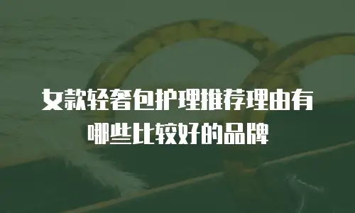女款轻奢包护理推荐理由有哪些比较好的品牌
