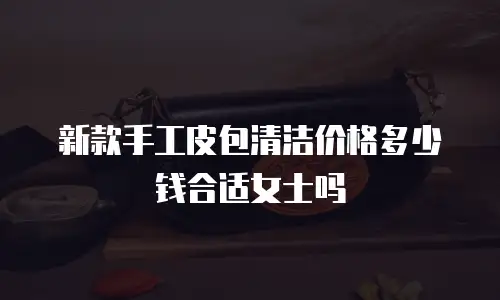 新款手工皮包清洁价格多少钱合适女士吗