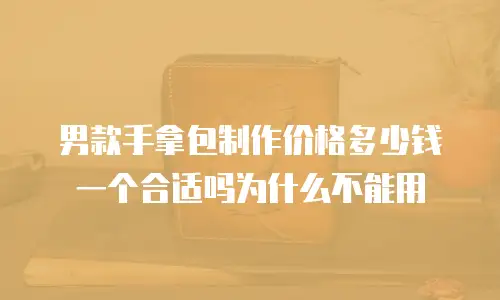 男款手拿包制作价格多少钱一个合适吗为什么不能用