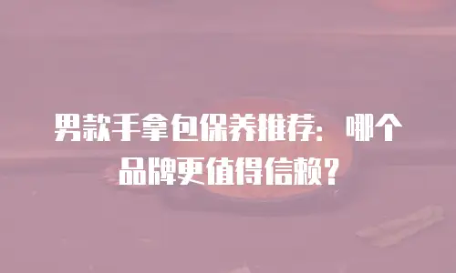 男款手拿包保养推荐：哪个品牌更值得信赖？