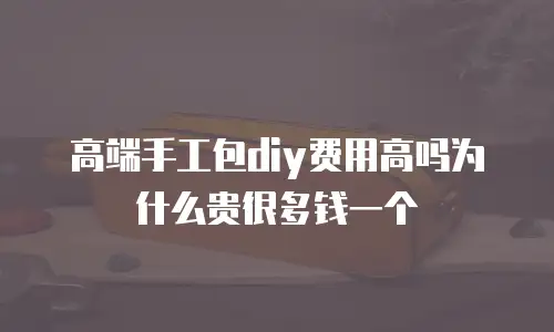 高端手工包diy费用高吗为什么贵很多钱一个