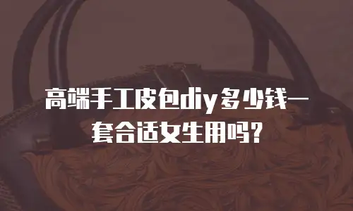 高端手工皮包diy多少钱一套合适女生用吗？