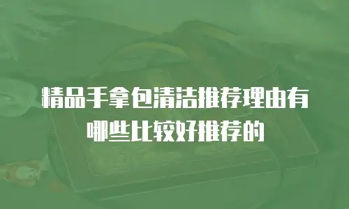 精品手拿包清洁推荐理由有哪些比较好推荐的