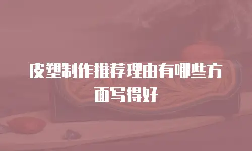 皮塑制作推荐理由有哪些方面写得好