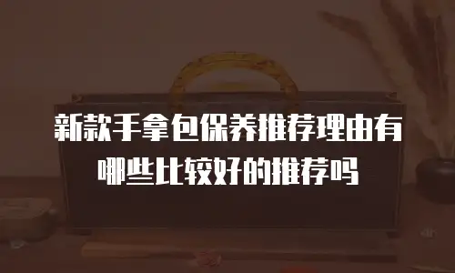 新款手拿包保养推荐理由有哪些比较好的推荐吗