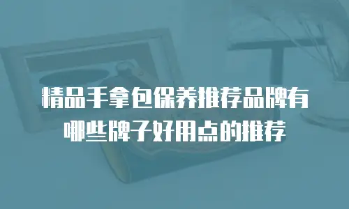 精品手拿包保养推荐品牌有哪些牌子好用点的推荐
