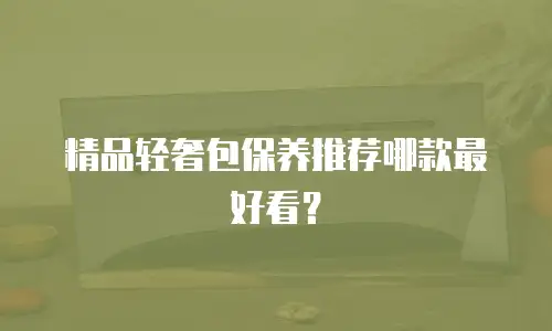精品轻奢包保养推荐哪款最好看？