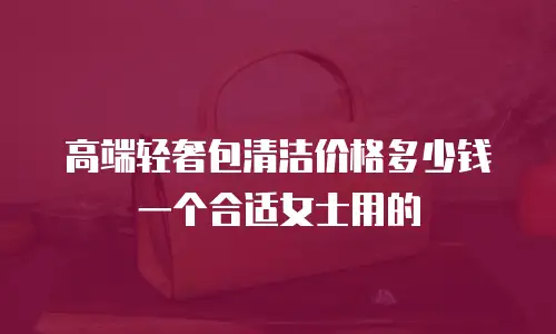 高端轻奢包清洁价格多少钱一个合适女士用的