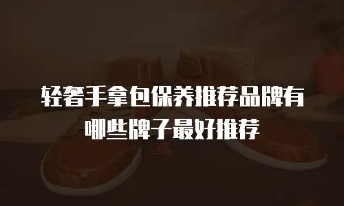 轻奢手拿包保养推荐品牌有哪些牌子最好推荐