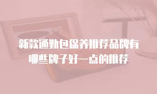 新款通勤包保养推荐品牌有哪些牌子好一点的推荐