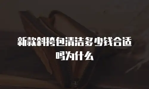 新款斜挎包清洁多少钱合适吗为什么