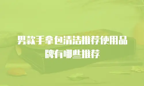 男款手拿包清洁推荐使用品牌有哪些推荐