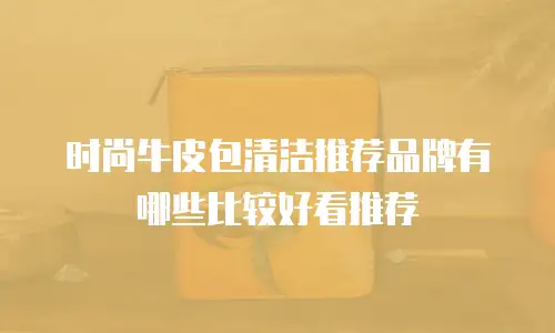 时尚牛皮包清洁推荐品牌有哪些比较好看推荐