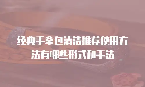 经典手拿包清洁推荐使用方法有哪些形式和手法