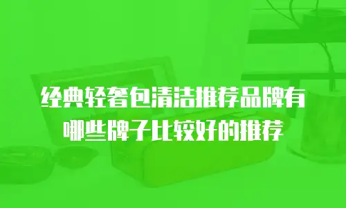 经典轻奢包清洁推荐品牌有哪些牌子比较好的推荐