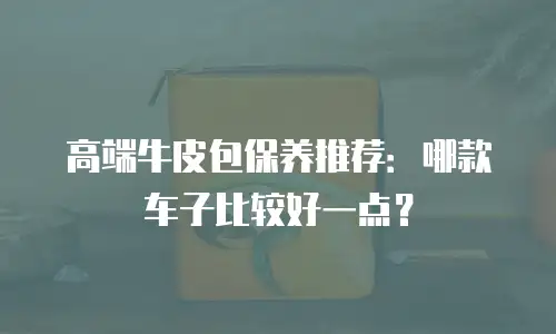 高端牛皮包保养推荐：哪款车子比较好一点？