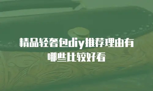 精品轻奢包diy推荐理由有哪些比较好看