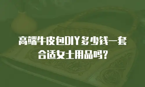 高端牛皮包DIY多少钱一套合适女士用品吗？