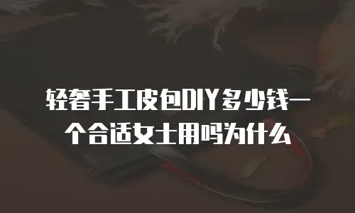 轻奢手工皮包DIY多少钱一个合适女士用吗为什么