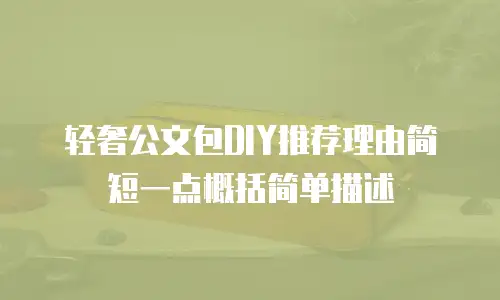 轻奢公文包DIY推荐理由简短一点概括简单描述