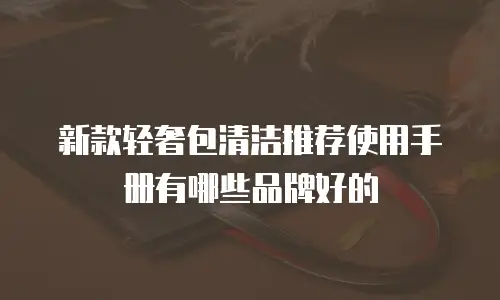新款轻奢包清洁推荐使用手册有哪些品牌好的