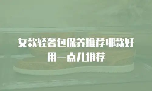女款轻奢包保养推荐哪款好用一点儿推荐