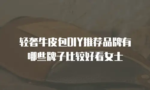 轻奢牛皮包DIY推荐品牌有哪些牌子比较好看女士