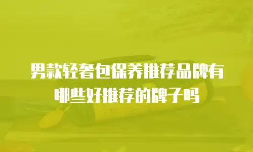 男款轻奢包保养推荐品牌有哪些好推荐的牌子吗
