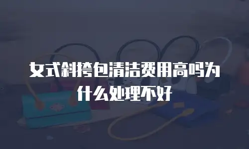 女式斜挎包清洁费用高吗为什么处理不好