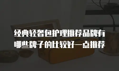 经典轻奢包护理推荐品牌有哪些牌子的比较好一点推荐