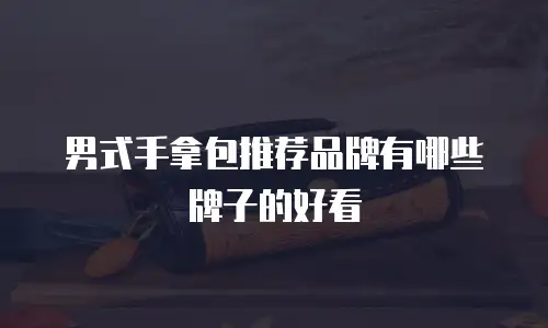 男式手拿包推荐品牌有哪些牌子的好看