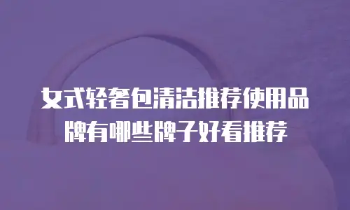 女式轻奢包清洁推荐使用品牌有哪些牌子好看推荐
