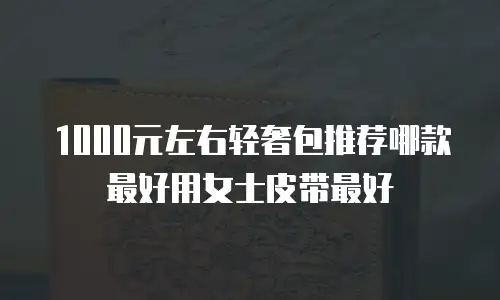 1000元左右轻奢包推荐哪款最好用女士皮带最好