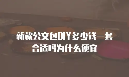 新款公文包DIY多少钱一套合适吗为什么便宜