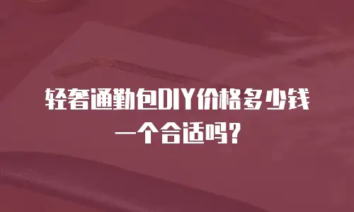 轻奢通勤包DIY价格多少钱一个合适吗？